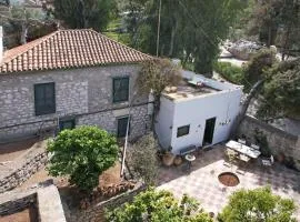 Villa Ariadne - a citrus sanctuary