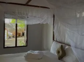 Ocean Vibe Srilanka