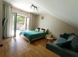 Apartament Olimpijski B&B w Szczyrku