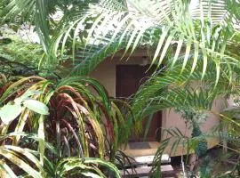 古鲁瓦塔生态公寓