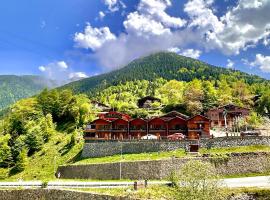 Green Cinar Apart, serviced apartment in Uzungöl