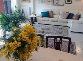 B&B ANTONIETTA