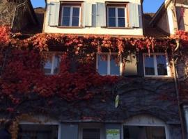 Geschmackvolles Dachstudio in der Innenstadt, hotel in Leutkirch im Allgäu