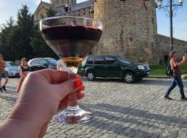 Hotel bereka, hotel in Mtskheta