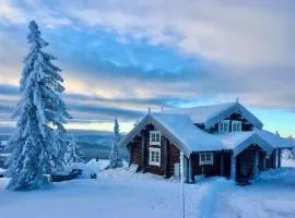 Newer lovely cabin in Birkebeinerbakken Sjusjøen