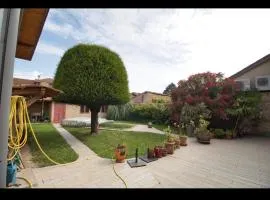 Maison avec piscine