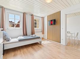 home2stay Apartments Wendlingen Kitchen,Wifi,Smart TV NEW, хотел в Вендлинген-ам-Некар