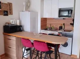 Studio centre-ville à 2 pas de la plage