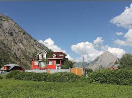 ALPINE Resort, Hotel in Kanzalwan