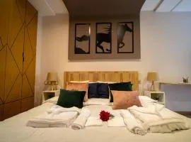 R101- Cosy and stylish apartment with King Size Bed- Belvédère