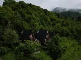 The overlook cottage 2
