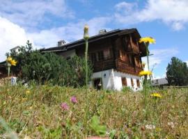 Bündnerchalet im Herz der Schweizer Alpen, tradicionalna kućica u gradu 'Disentis'