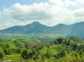 Munnar Valley View Annex
