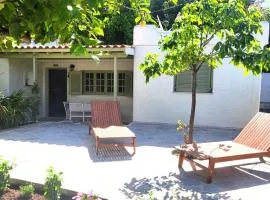 Lemon Garden house near the sea