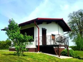APARTMA KAPELSKI FANT