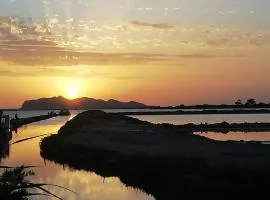 La Mimosa Case Vacanze