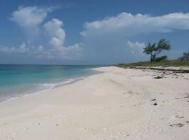 Coastal Haven: Charming Beachfront Cottage with Pool, cabaña o casa de campo en James Cistern