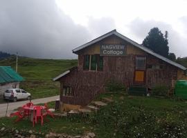 Hotel Nagview Cottage, Jammu and Kashmir, αγροικία σε Γκουλμάργκ