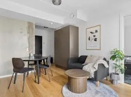Modern luxury apartment