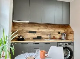 City centre one room apartment