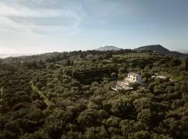 DiLa Grand Villa, a 5acres Secluded Sanctuary with Pool, By ThinkVilla