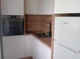 Šumska Vila