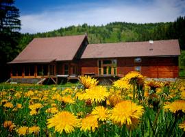 Crossline Lodge, kalnų namelis mieste Georgenis