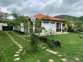 Guest house Medina