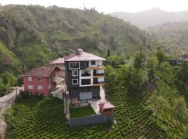 Sama house, hotel with parking in Rize