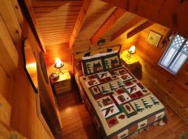 Cute updated Mountain Cabin fireplace #3، فندق في هيلين