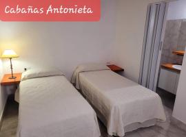 Cabañas Antonieta、サルタのロッジ