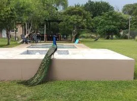 Casa Rodante en granja
