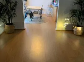 Nice and Cozy living Homestay