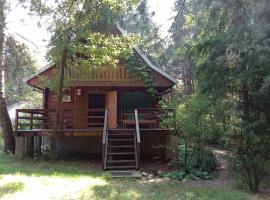 Dom na Skraju Lasu, מלון בStoczek Łukowski