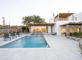 Ambiente Villas -5 Bd Villa Mykonos-Agios Ioannis