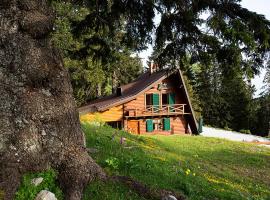 Chalet Alpinka, cabin in Cerklje na Gorenjskem