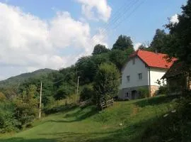 Simina kuća
