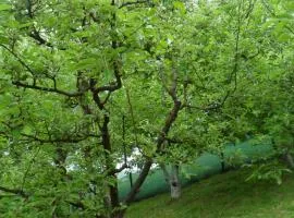 Ravne Konak