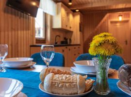 Apartament GóralSki z widokiem na tatry, hotel in Brzegi