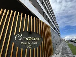 Cesarica Apartment