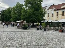 Cluj Downtown Accomodation