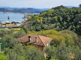 CASA AMELIA