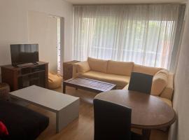 Cozy flat in La Défense