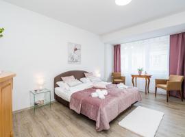 Perla Hradce 202, apartament din Hradec Králové