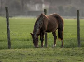 Agriturismo Al Botteniga, agroturismo en Treviso