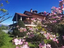 Orto del pettirosso