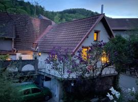 Charmantes Häuschen mit zwei Terrassen, cheap hotel in Dannenfels