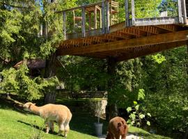 Apartments Kokl - Adults only