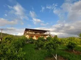 Guest House Xhaferaj