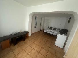 Vila Matei, holiday rental in Schitu